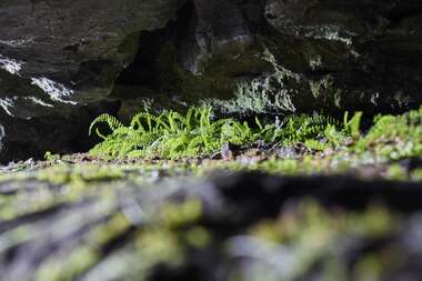 200105 SONY  (55).jpg